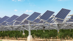 solar energy farm