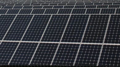solar project in Andhra Pradesh